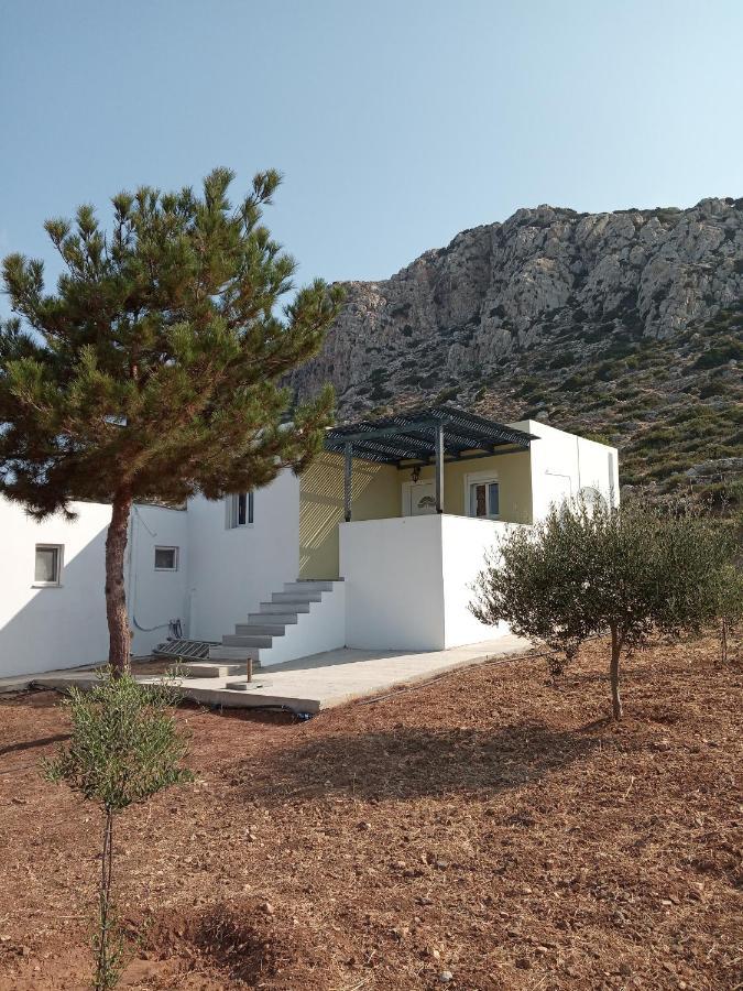 Albatros Studios & Apartments Lefkos  Bagian luar foto