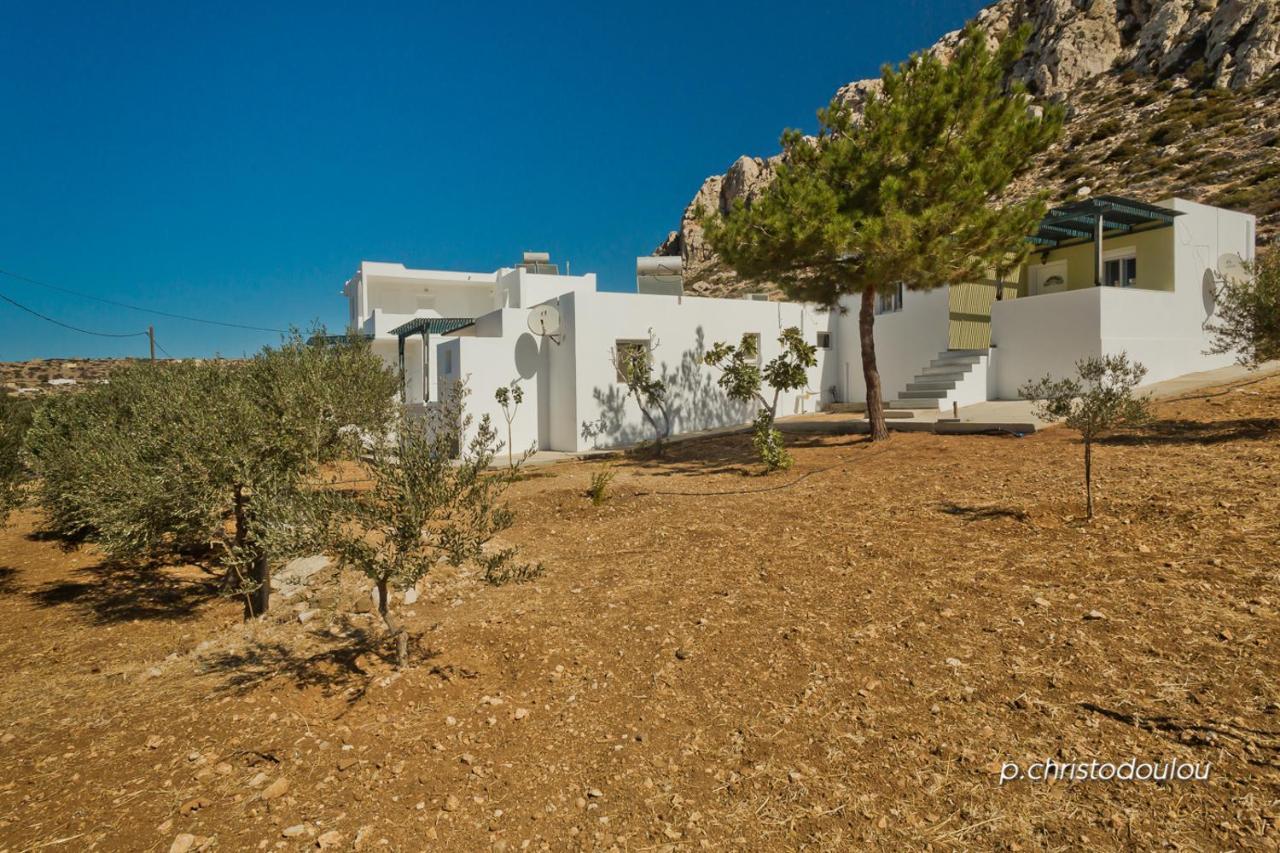 Albatros Studios & Apartments Lefkos  Bagian luar foto