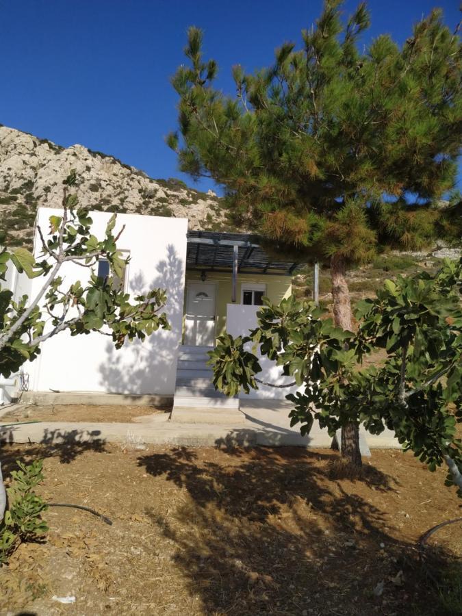 Albatros Studios & Apartments Lefkos  Bagian luar foto